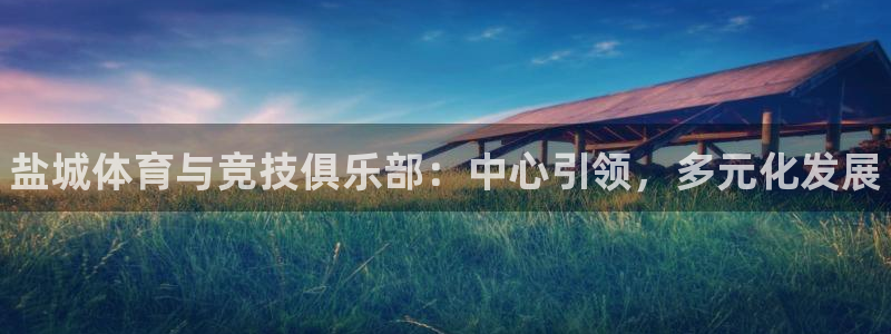 欧亿体育官方正版app娱乐是那个系列的台子：盐城体育