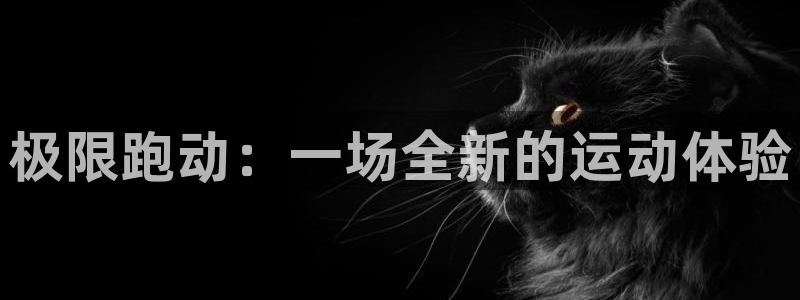 欧亿体育官方正版app娱乐首页网站大全：极限跑动：一