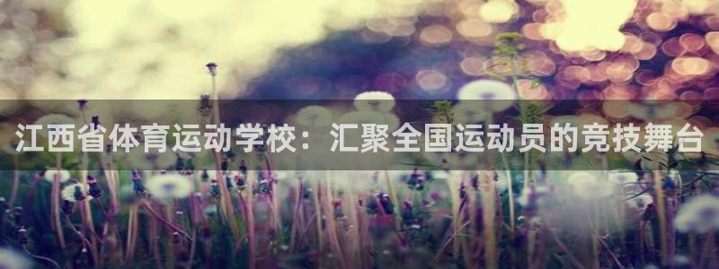oety欧亿体育官网下载招商电话号码查询是多少：江西省体育运