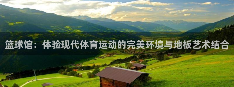 注册欧亿体育官方正版app：篮球馆：体验现代体育运动的完美环