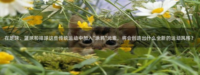 oety欧亿体育官网下载平台假的吗是真的吗吗