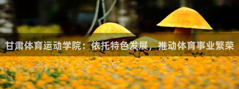 欧亿体育官方正版app五金厂：甘肃体育运动学院：依托特色发展