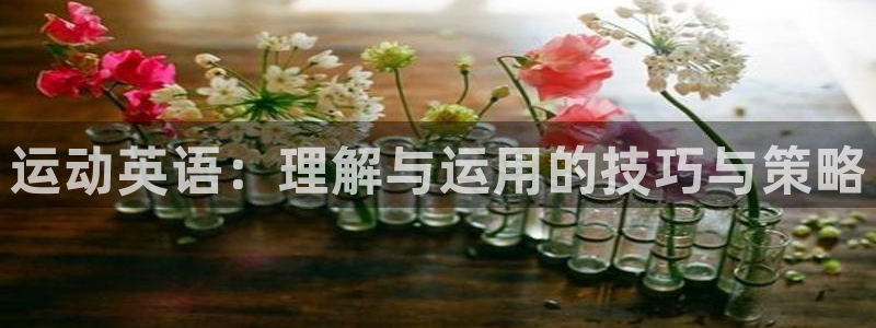 oety欧亿体育官网下载招商电话地址：运动英语：理解与运用的
