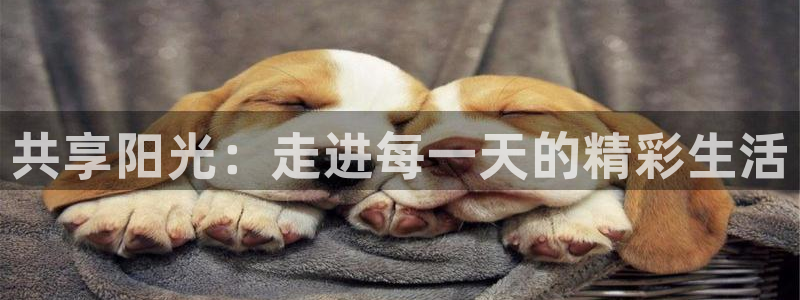 oety欧亿体育官网下载平台是正规平台吗：共享阳光：走进每一