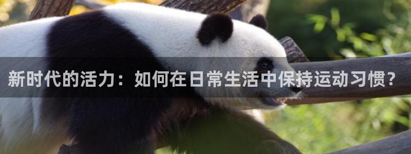  欧亿3浗维33 300：新时代的活力：如何在日常生活中保持运