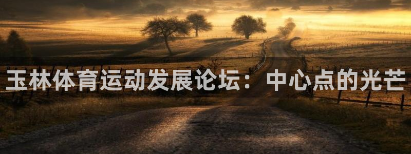OE欧亿APP下载：玉林体育运动发展论坛：中心点的光芒