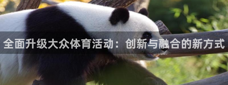 oe欧亿手机2024年新产品：全面升