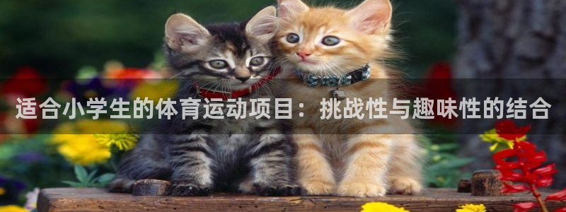 oe欧亿黑彩平台怎么样：适合小学生的
