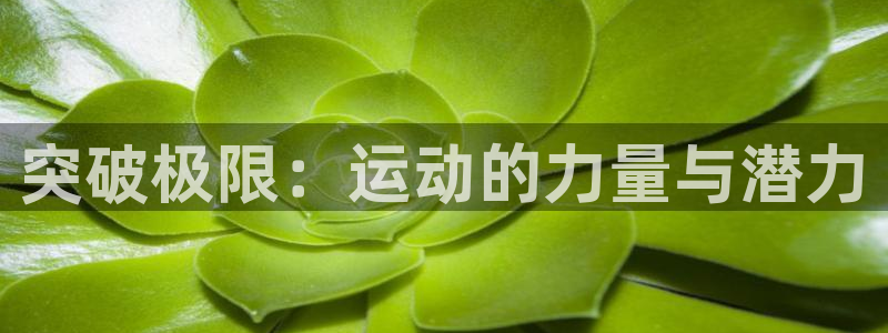 OE欧亿平台最新版本更新内容：突破极限：运动的力量与潜力