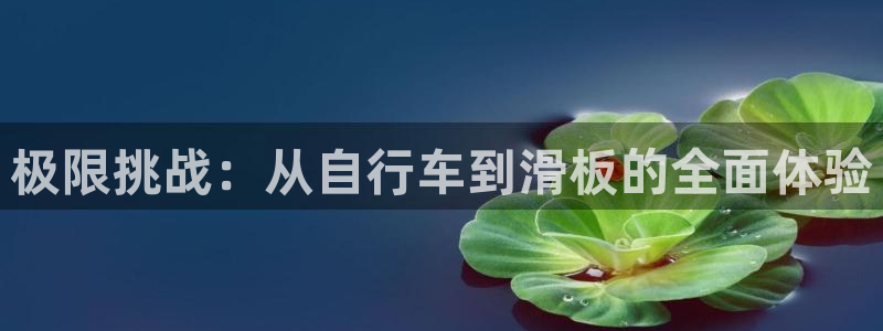  oe欧亿下载：极限挑战：从自行车到滑板的全面体验