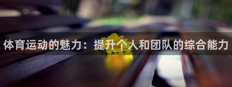 oe欧亿登陆：体育运动的魅力：提升个