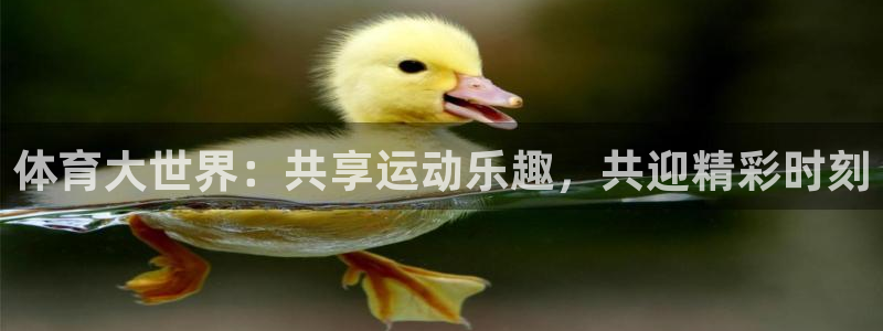 欧亿官网下载app 地址.官网app.中国：体育大世界：共享