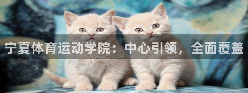 oety欧亿体育官网下载是干嘛的公司