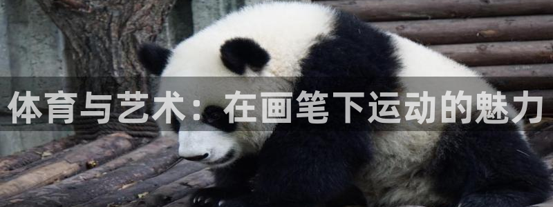 欧亿体育官方正版app科技：体育与艺术：在画笔下运动的魅力